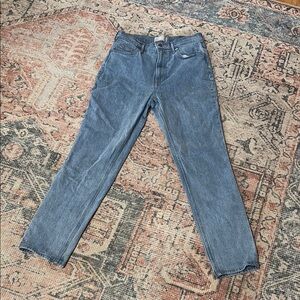Everlane Blue Straight Jeans Timeless Fit
